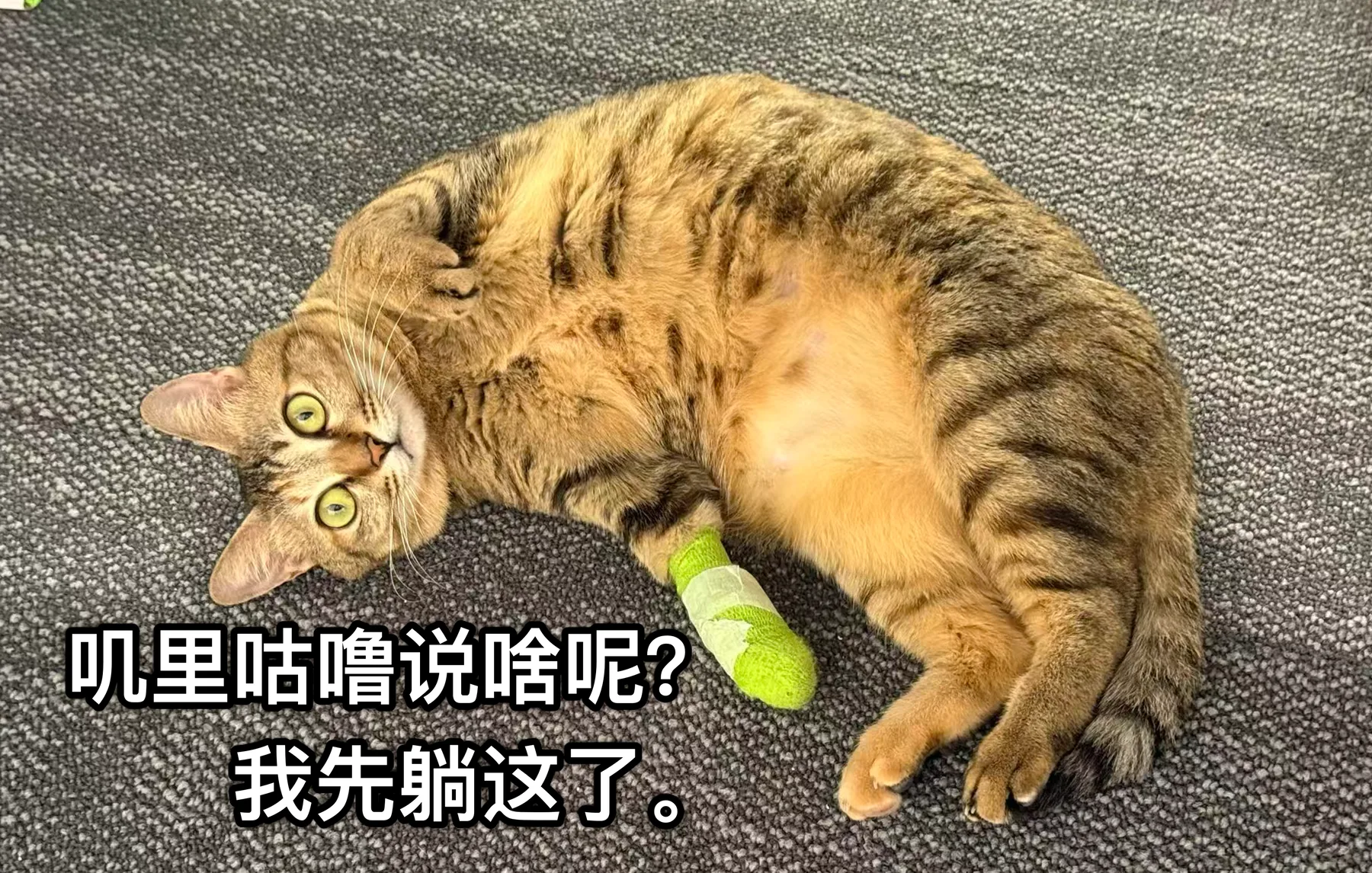 躺下的芒果